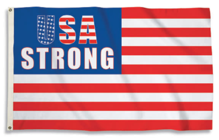 BSI Unisex Collegiate Flag 3‘ X 5‘ – Violett Und Gold, 100 % Polyester Mit Metallösen, Doppelt Genäht