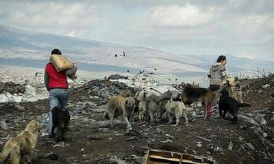 Rescuers Without Borders