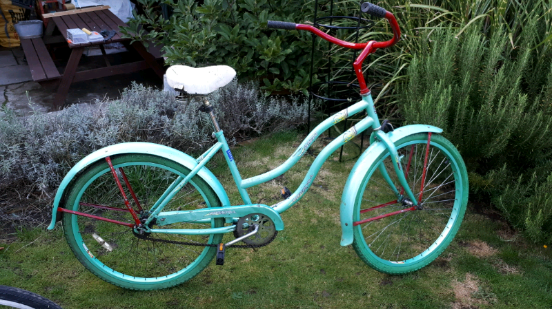 ebay beach cruiser