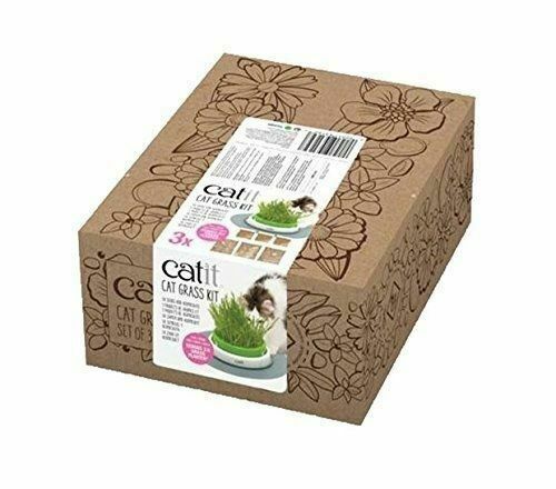 Getrocknete Katzenminze (Catnip) - Natürliches Katzengras Als Snack Oder Zum Füllen Von Spielzeug | Ca. 50 G