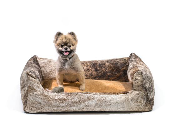 Removable Washable Cushion Dog Bed / Cat Bed