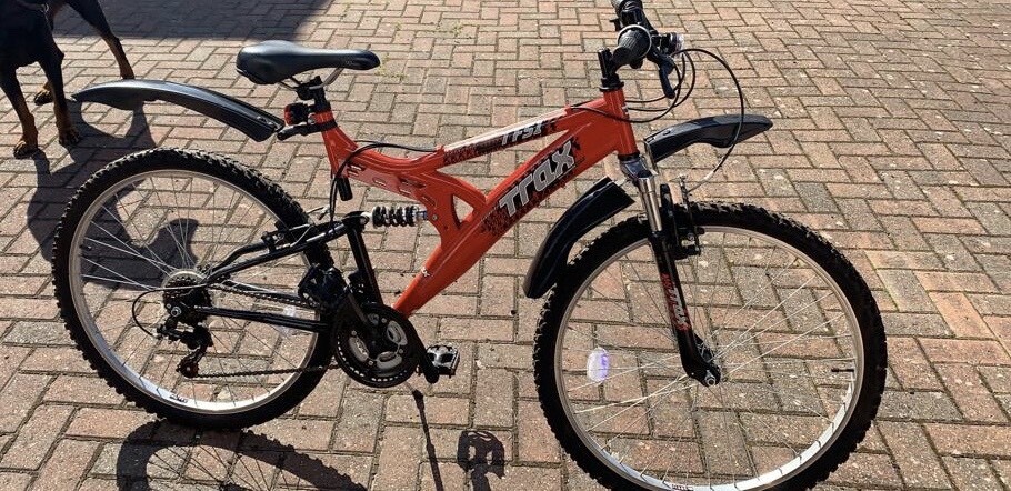 halfords lion king bike