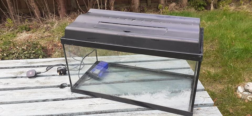 FISH TANK KIT in Penrith, Cumbria Gumtree