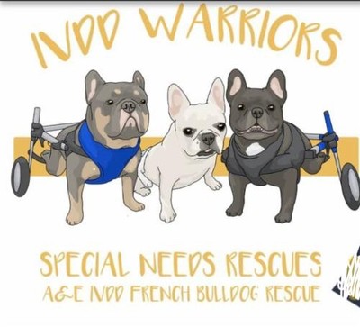 A&E IVDD FRENCH BULLDOG RESCUE INC