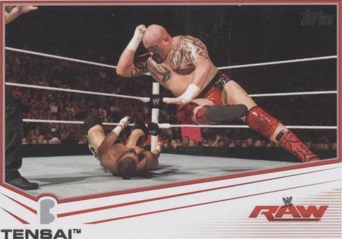 2013 Topps WWE - Tensai #40