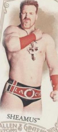 2012 Topps Heritage WWE - Sheamus #10