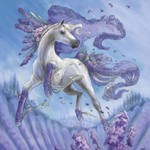 prancingponycards
