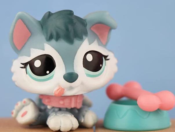 Husky 2025 pet shop
