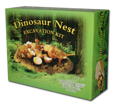Dinosaur Nest Fossil Excavation Dig It Out Educational Science Kit Seismosaurus