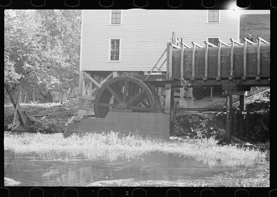 Wolf Creek Farm Project,Georgia,GA,Resettled Farmer,Arthur Rothstein,FSA,19