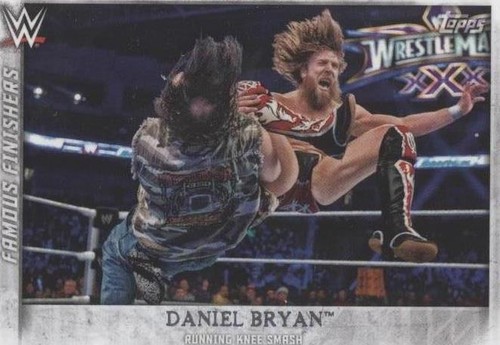 2015 Topps WWE Undisputed - Daniel Bryan #FF-17