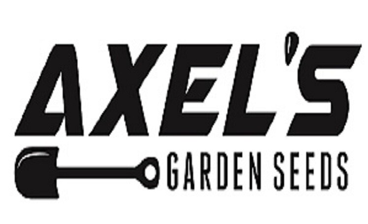 Organic Broccoli MICROGREEN Seeds | Heirloom | Non-GMO | Seeds for Sprouting