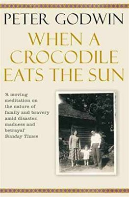 When A Crocodile Eats the Sun - Paperback, by Godwin Peter - Acceptable