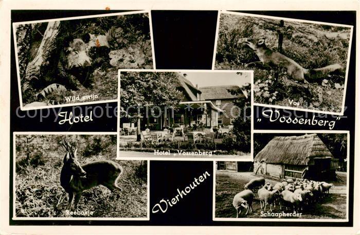 73794831 Vierhouten Nl Hotel Vossenberg Wild Zwijn Vos Reebokje Schaapherder 