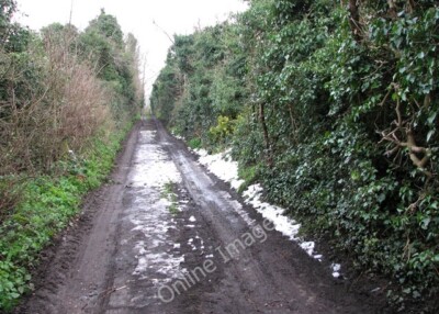 Photo 6x4 View east along Porters Loke Belton/TG4802 Some snow is still  c2009