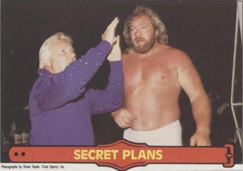 1985 O-Pee-Chee Pro Wrestling Stars - Big John Studd Bobby Heenan #47