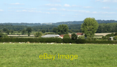 Photo 6x4 2010 : East Forest Farm with flock Gare Hill Sheep in the nearb c2010