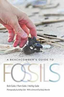 A Beachcomber's Guide to Fossils (Wormsloe - Paperback, by Gale Bob; Gale - Good