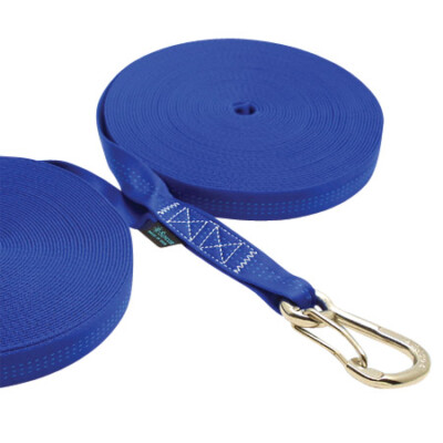 Double Jackline with Clip 35'  Blue