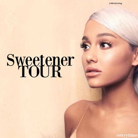 Ariana Grande 5/2/19 SAP Center San Jose, CA. 2 Tickets Section 116 row 11