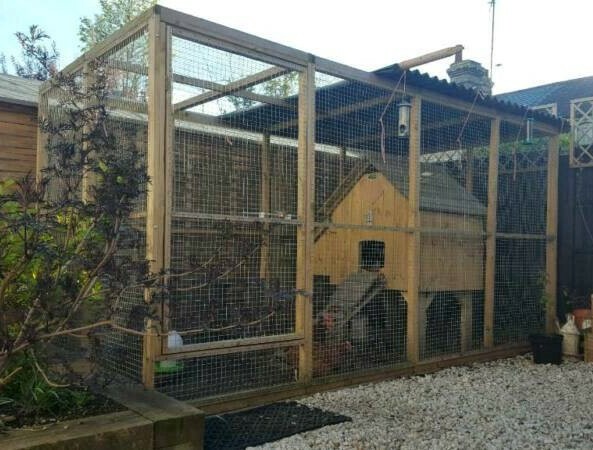 Chicken Coop Hen House Flyte So Fancy And Walk In Run In Cambridge Cambridgeshire Gumtree