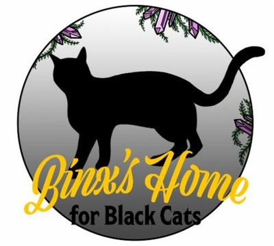 Binx's Home for Black Cats, Co.