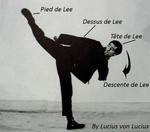 ludomaje