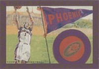 2008-09 Topps T-51 Murad - Amar'e Stoudemire #120