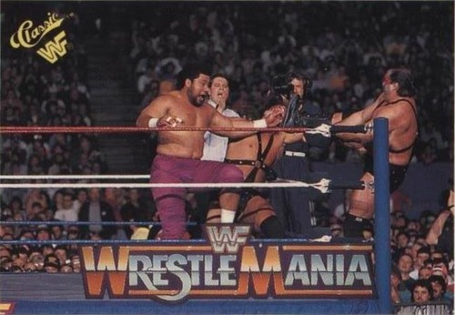 1990 Classic WWF The History of Wrestlemania - Smasher Sloan #143