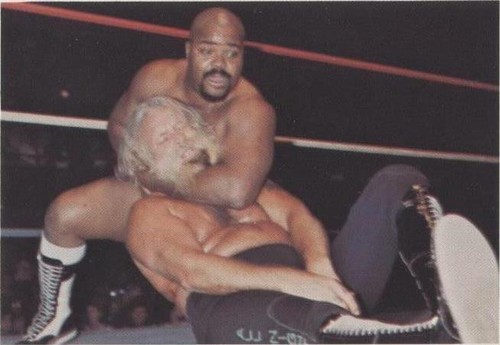 1988 Wonderama NWA - Jimmy Valiant Shaska Whatley #14