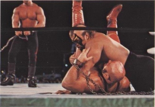 1988 Wonderama NWA - Road Warrior Animal #196