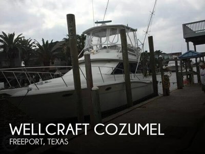 1988 Wellcraft Cozumel Used