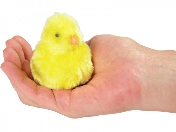 Цыпленок пи. Пасхальные цыплята живые. Цыпленок мягкая игрушка реалистичный. Цыпленок. Громкий петух.