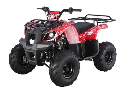New bigger 2017 Utility ATV 125cc with Reverse