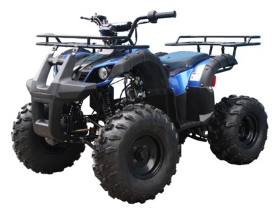 Mid size ATV 125cc Youth ATV Utility Quad Kids 4 wheeler FREE s/h 125CC ATV