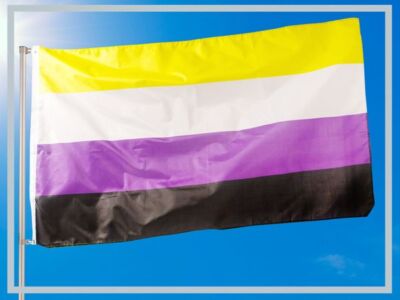 Nichtbinär Flagge Fahne Nonbinary Lgbt Genderqueer 90X150cm Lsbtiq Nicht Binär