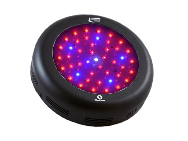 Top-5-LED-Grow-Lights-