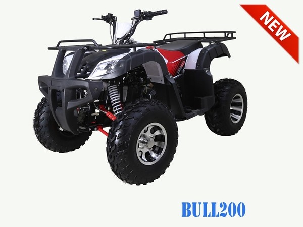 TAOTAO BULL 200 169CC, AIR COOLED, 4-STROKE, 1-CYLINDER, AUTOMATIC
