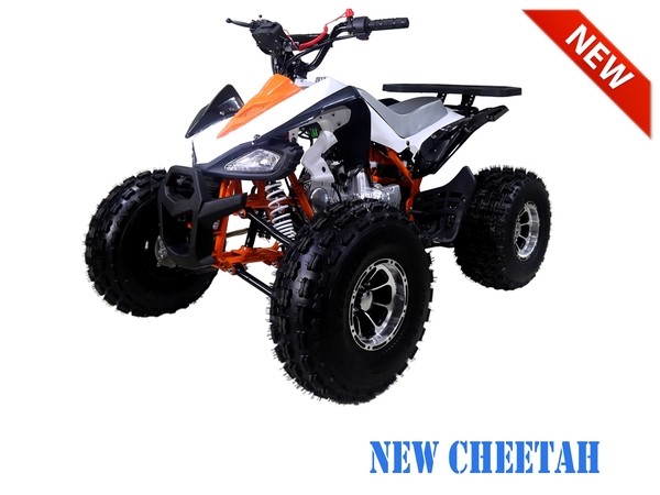 TAOTAO 125CC NEW CHEETAH MID SIZE ATV, AUTOMATIC WITH REVERSE, AIR COOLED