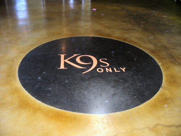 Smiths Paint Decorative Concrete Color Stains Classic Series  4oz Water Based 