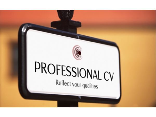 will writing service chelmsford