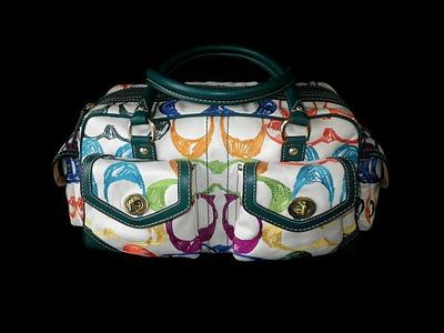 バッグ Coach Scribble Stitch Pocket Flap Ltd. Rare COACH Scribble Stitch Pocket Flap Bag Multicolor