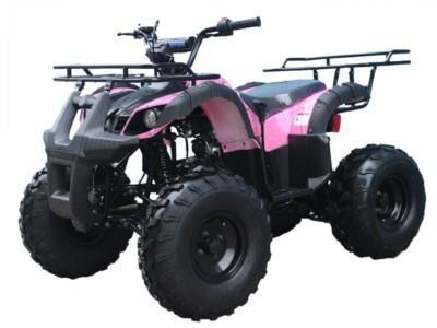 Mid size ATV 125cc Youth ATV Utility Quad Kids 4 wheeler FREE s/h 125CC ATV