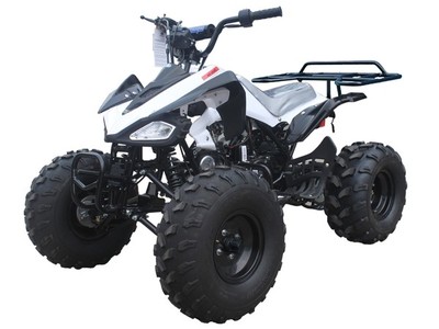 NEW ATV Sporty midsize fully auto w/ reverse 125cc WOW!! 8" Wheels!! *FREE S/H*