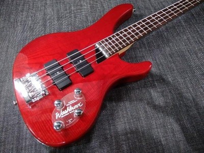 Bass Washburn Bass 2