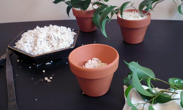 PERLITE (FAST SHIP) QUALITY COURSE- MEDIUM SEED STARTING NURSERY POTTING PLANTS