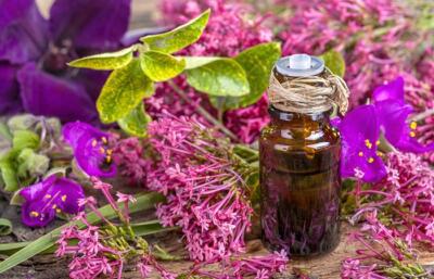 100% PURE UNCUT UNDILUTED CLARY SAGE ESSENTIAL OIL 100ML