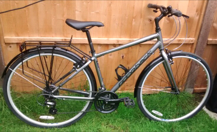 Ridgeback mudguards cheap