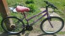 Rio Maxima 24&quot;wheels girls/ladies bike