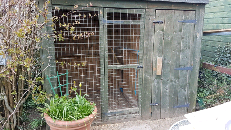Chicken Coop Dog Kennell In Huntly Aberdeenshire Gumtree